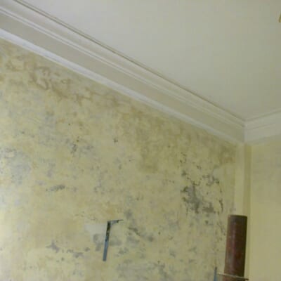 Tấm Nhựa Ốp Tường Chống Ẩm Cao Câp