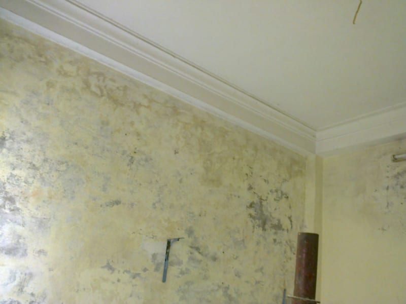 Tấm Nhựa Ốp Tường Chống Ẩm Cao Câp